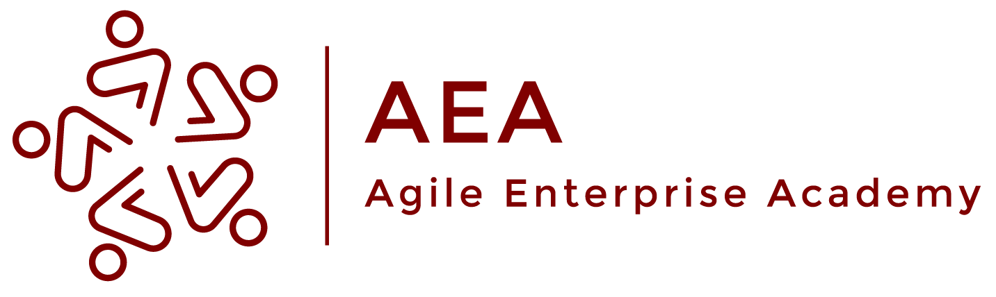 Agile Enterprise Academy